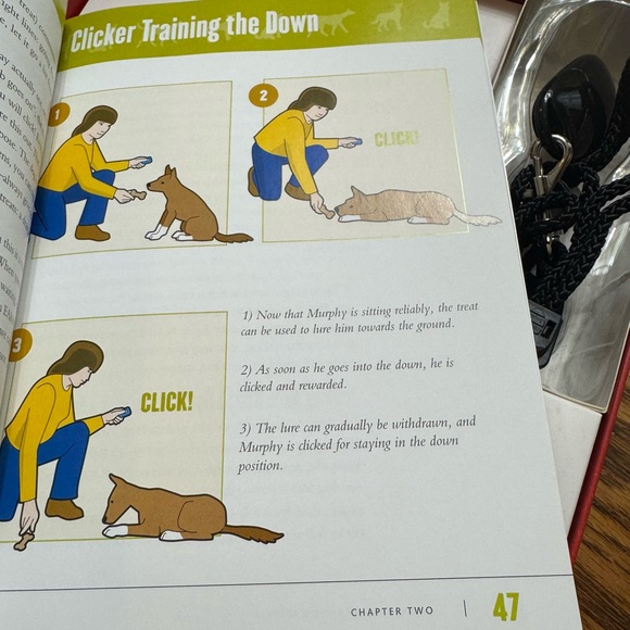 NEW pet bone wood puzzle toy smart treat toy , Click Training & FreeGift - Picture 12 of 16